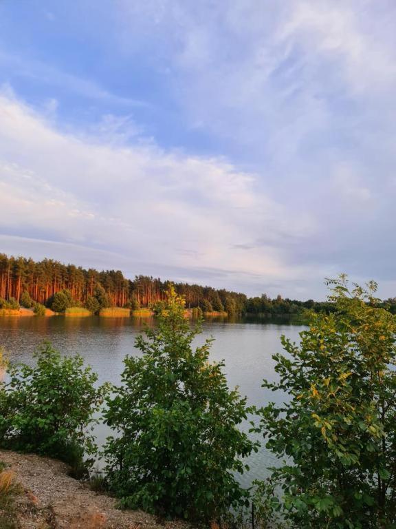 U Siwego Rokitki (Legnica)